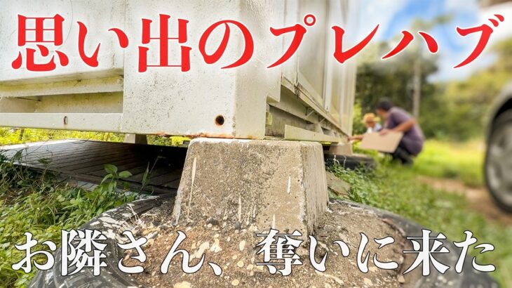 【田舎暮らし】パンクしたので自力でタイヤ交換、プレハブが盗られそうです!!!今年の秋も盛り上がって来ました。 #283