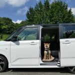 【ダイハツ ムーヴ 新型試乗】つい“ジャケ買い”しそうになる、プレーンな良き実用車…島崎七生人