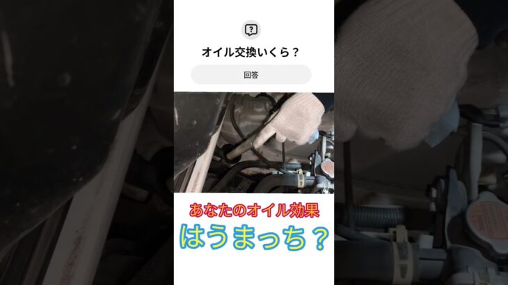 貴方のオイル交換費用は？#自動車　#車　#バイク　#ドライブ　#ツーリング　#物価高騰　#旅行　#オイル交換　#自動車修理　#タイヤ交換　#ガソリンスタンド　#アルファード　#残クレ　#車屋　
