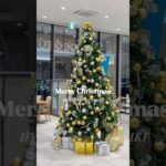 【兵庫トヨタ三木店】クリスマス仕様のショールーム🎅🏻🌲✨                 #兵庫トヨタ #トヨタ #bz4x #試乗