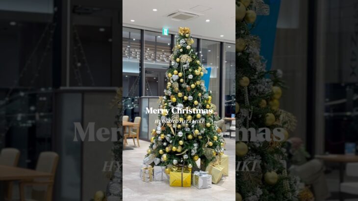 【兵庫トヨタ三木店】クリスマス仕様のショールーム🎅🏻🌲✨                 #兵庫トヨタ #トヨタ #bz4x #試乗