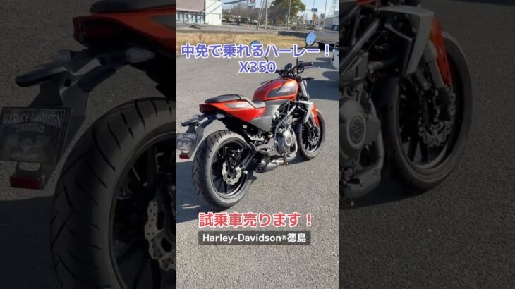 中免で乗れるハーレー！　#試乗車売ります　#ハーレーダビッドソン徳島　#X350 #中免で乗れる　#ハーレー　#ダイナミックオレンジ　#成約特典あり