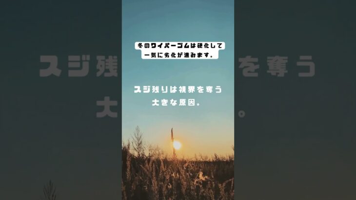 【車雑学みんな知ってた？】みんなはワイパーゴムの交換定期的にしてる？ #自動車 #トリビア #豆知識 #有益 #プチ知識 #automobile