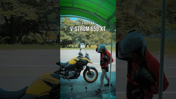 Vツインのエンジン音！【スズキ V-STROM 650】 #バイク #ツーリング #モトブログ