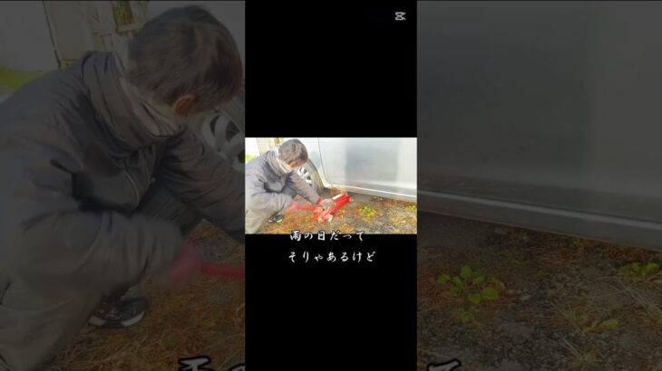 【#車いじり 】#タイヤ交換  #shorts