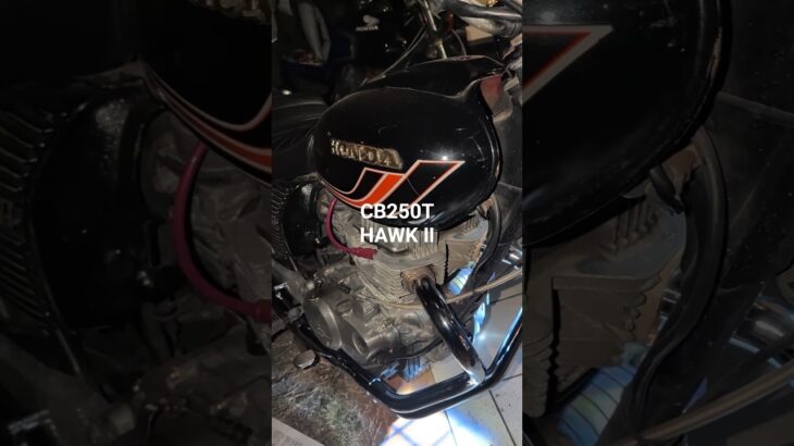 バブのマフラー交換してみた！！#旧車#バイク#バイク整備#cb250t@STELLA_ABC