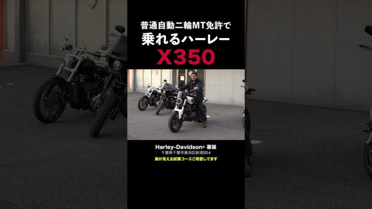 普通自動二輪免許で乗れるハーレー‼️X350幕張店で試乗出来ます‼️Harley-Davidson X™350#x350