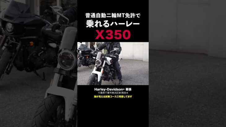 普通自動二輪免許で乗れるハーレー‼️X350幕張店で試乗出来ます‼️Harley-Davidson X™350#x350