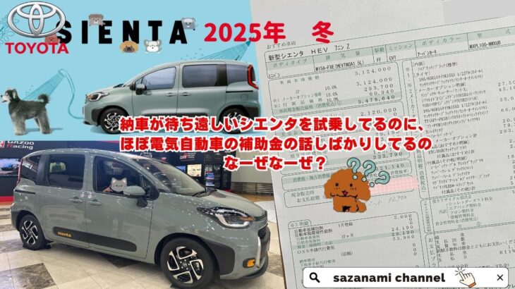 納車が待ち遠しいシエンタを試乗してるのに、ほぼ電気自動車の補助金の話しばかりしてるのなーぜなーぜ？