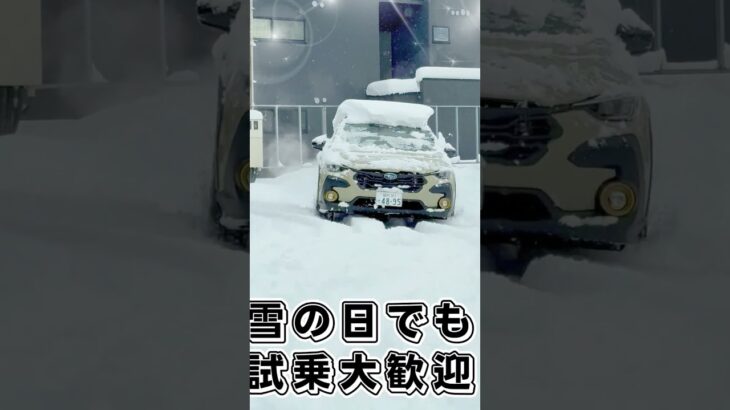 SUBARUのAWDの車は雪に強い！#subaru #寒波 ＃雪