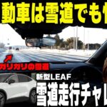 【新型日産リーフ】試乗レビュー!!北の大地に降臨!?新型LEAFを徹底チェック【帯広日産】