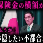 【注意！車両購入者全員が対象です】保険料の横領が発覚しました…横領の裏に潜む政治の闇とは？【ゆっくり解説】