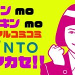 トヨタdeクルマ！ナンデモデキル！【お車・KINTOのことならトヨタカローラ新茨城へ！】