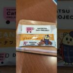 2025年2月12日ダイハツでアトレー試乗