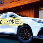 レクサスオーナーのリアルな休日｜NX＆RZfsports｜Vlog