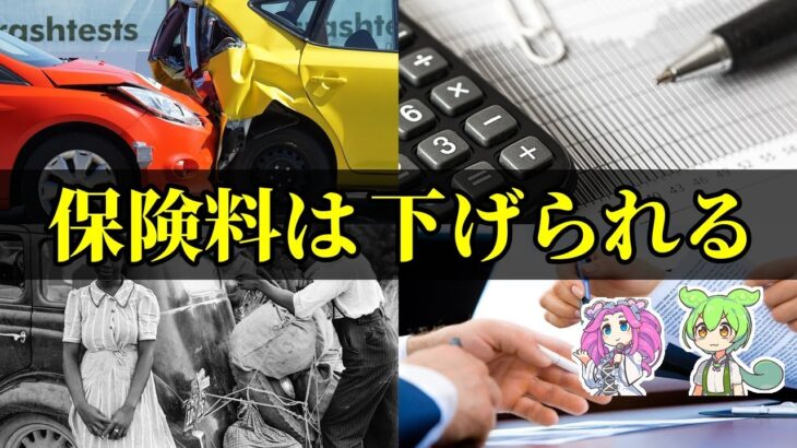 【注意】自動車保険が高い人の共通点！第10 1回 固定費削減術【ずんだもん＆ゆっくり解説】