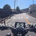 HONDA cb650r e-clutch 試乗動画　バイク探しする！【バイク未所有系モトブロガー】