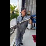 クラウンスポーツ　マフラー交換　  #custom #jetstroke #crown #クラウン #マフラー交換