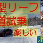 新型リーフ 本気の雪道試乗 楽しい ARIYA life(アリアな日々)223