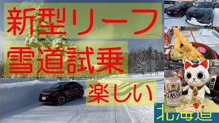 新型リーフ 本気の雪道試乗 楽しい ARIYA life(アリアな日々)223