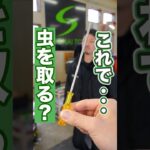 タイヤ交換に欠かせない虫を教えてもらいました！ #車 #タイヤ交換 #タイヤ