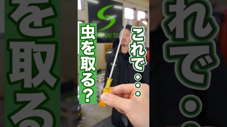 タイヤ交換に欠かせない虫を教えてもらいました！ #車 #タイヤ交換 #タイヤ