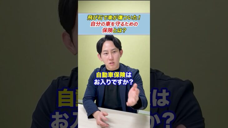 【プロが解説！】飛び石で車が傷ついた！自分の車の損害を補償する保険とは？