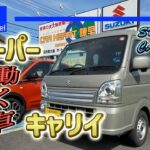 【試乗】働いて働いて働くSUZUKIスーパーキャリイ〜タフ過ぎて困る〜
