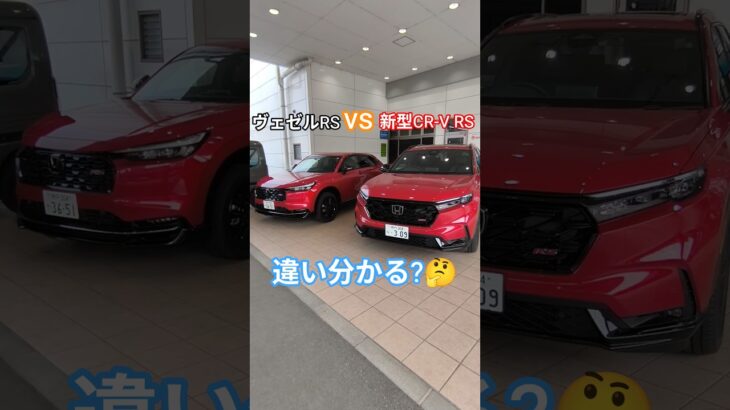 【どっちが好き?】同じ赤でも全く違う!?新型CR-V VS 新型ヴェゼルRS徹底比較!2026 Honda New CR-V e:HEV RS BLACK EDITION# crv #shorts