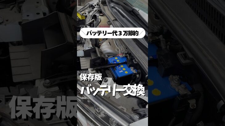 初心者でもできる！アルファードのバッテリー交換手順【保存版】(他車共通) #shorts