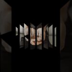 【自動車保険の罠】その特約、実はお金の無駄かも？賢い資産防衛術