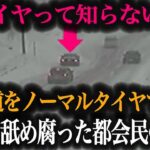 【超危険】タイヤ交換しない都会の高級車が関越道で事故…無知すぎるドライバーの末路がヤバすぎた【車解説】