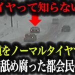 【超危険】タイヤ交換しない都会の高級車が関越道で事故…無知すぎるドライバーの末路がヤバすぎた【車解説】