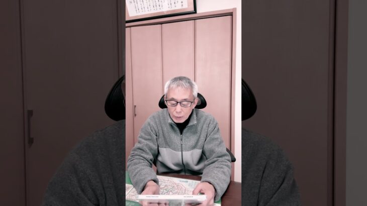 #練馬自動車保険