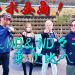 コラボ乗り比べ企画！それぞれ性格の違うロードスターを試乗！