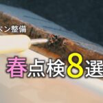 コペン(L880K)のメンテナンス｜タイヤ交換時にチェックする厳選8項目(錆・足回り)