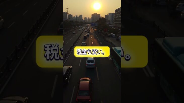 「EVを買ったら保険も上がる←同業者に消されそうです」