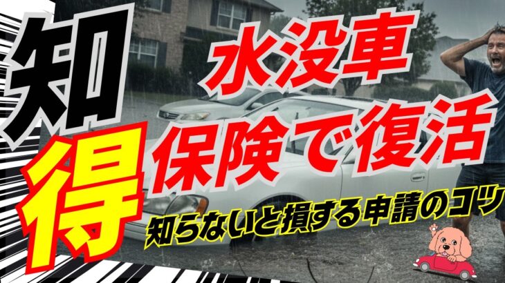 【冠水車】全損？修理？絶対にやってはいけないこと【保険編】