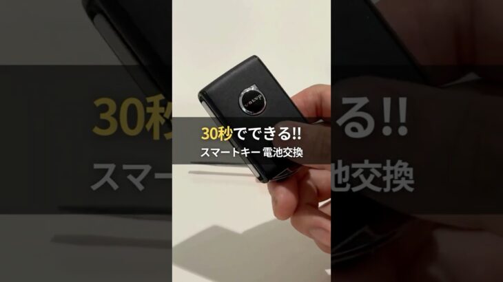 【保存版】VOLVOスマートキー電池交換 基本編