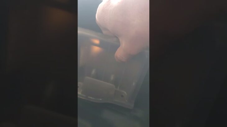 50cc原付 ホンダ ジョルノ バッテリー交換