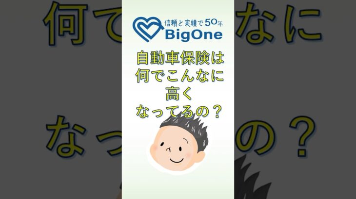 自動車保険は何でこんなに高くなってるの？