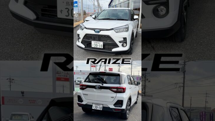 【動画カタログ🚗】トヨタの人気SUV 『ライズ』 #トヨタ #ライズ #suv #鳥取トヨペット #ディーラー #ディーラー #試乗 #toyota #shorts