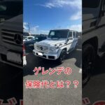 ゲレンデの年間保険料！