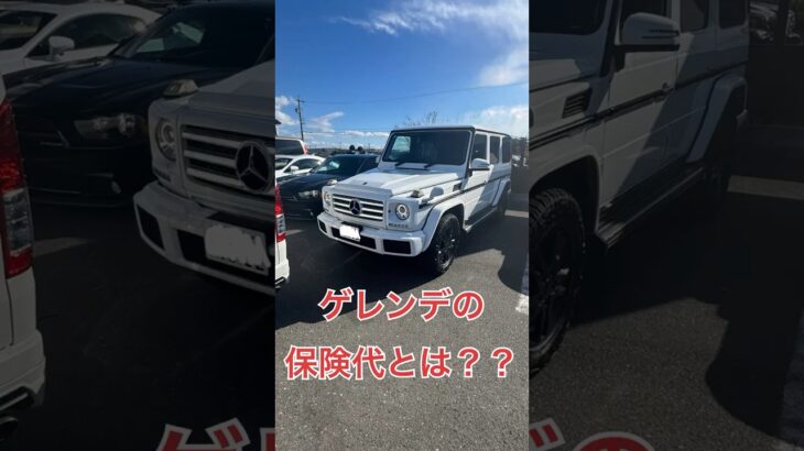 ゲレンデの年間保険料！