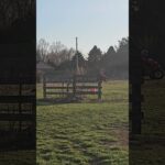 First Ever Honda TRX250 Test Drive!