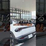 【１分で分かる】eビターラ解説！✨