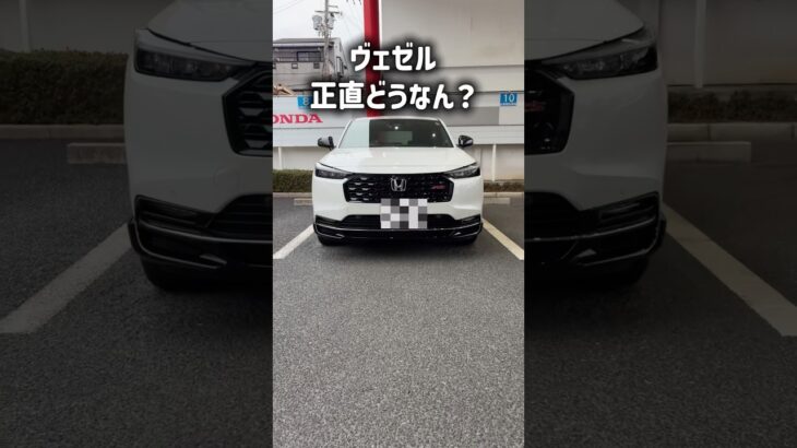 「ヴェゼル、正直そこまで気にしてなかったけど…」