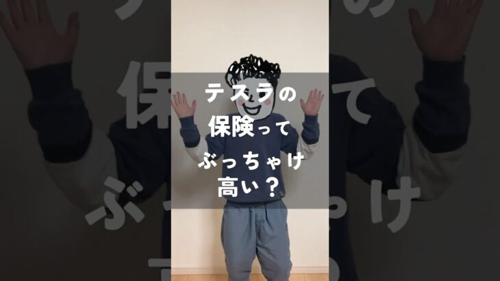 テスラの保険ってぶっちゃけ高い？ #テスラ #プチ知識 #解説