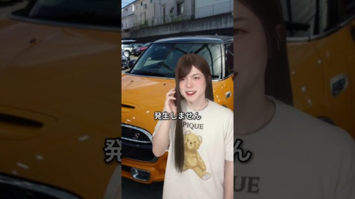 レンタカー不当請求の対処法 #レンタカー #保険 #飛び石 #自動車