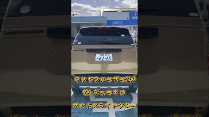 ランドクルーザー250　試乗車紹介✨